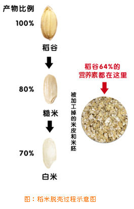 神奇稻米油，油中真黄金